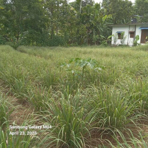 Land for Sale Meegoda
