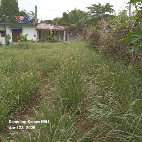 Land for Sale Meegoda