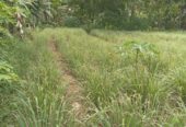 Land for Sale Meegoda