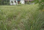 Land for Sale Meegoda