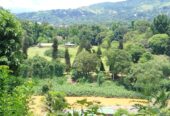 House for Sale Peradeniya