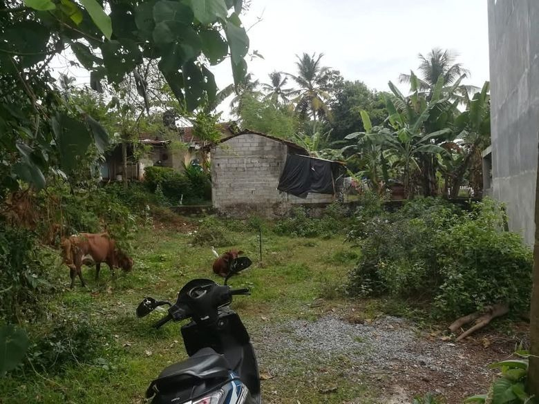 Land for Sale in Batuwaththa