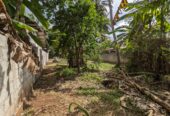 Land for Sale in Anuradhapura Town