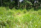 Land for Sale in Rambukkana