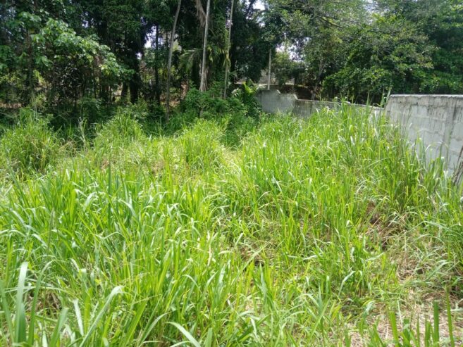 Land for Sale in Rambukkana
