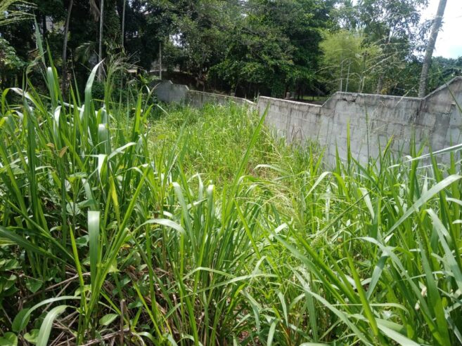 Land for Sale in Rambukkana