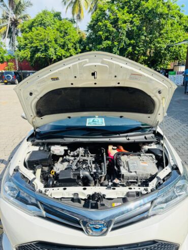 Toyota Axio 2019