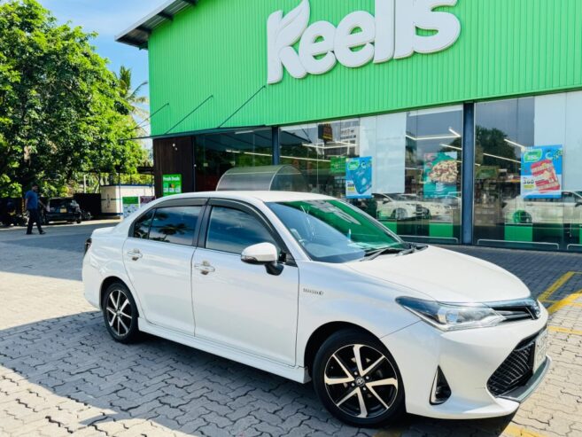 Toyota Axio 2019