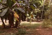 Commercial building with 76 perches For Sale Nittambuwa