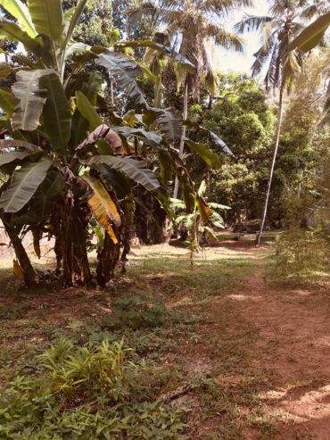 Commercial building with 76 perches For Sale Nittambuwa