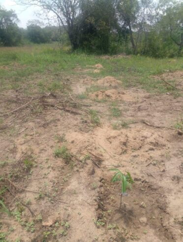 Land for Sale in Anuradhapura