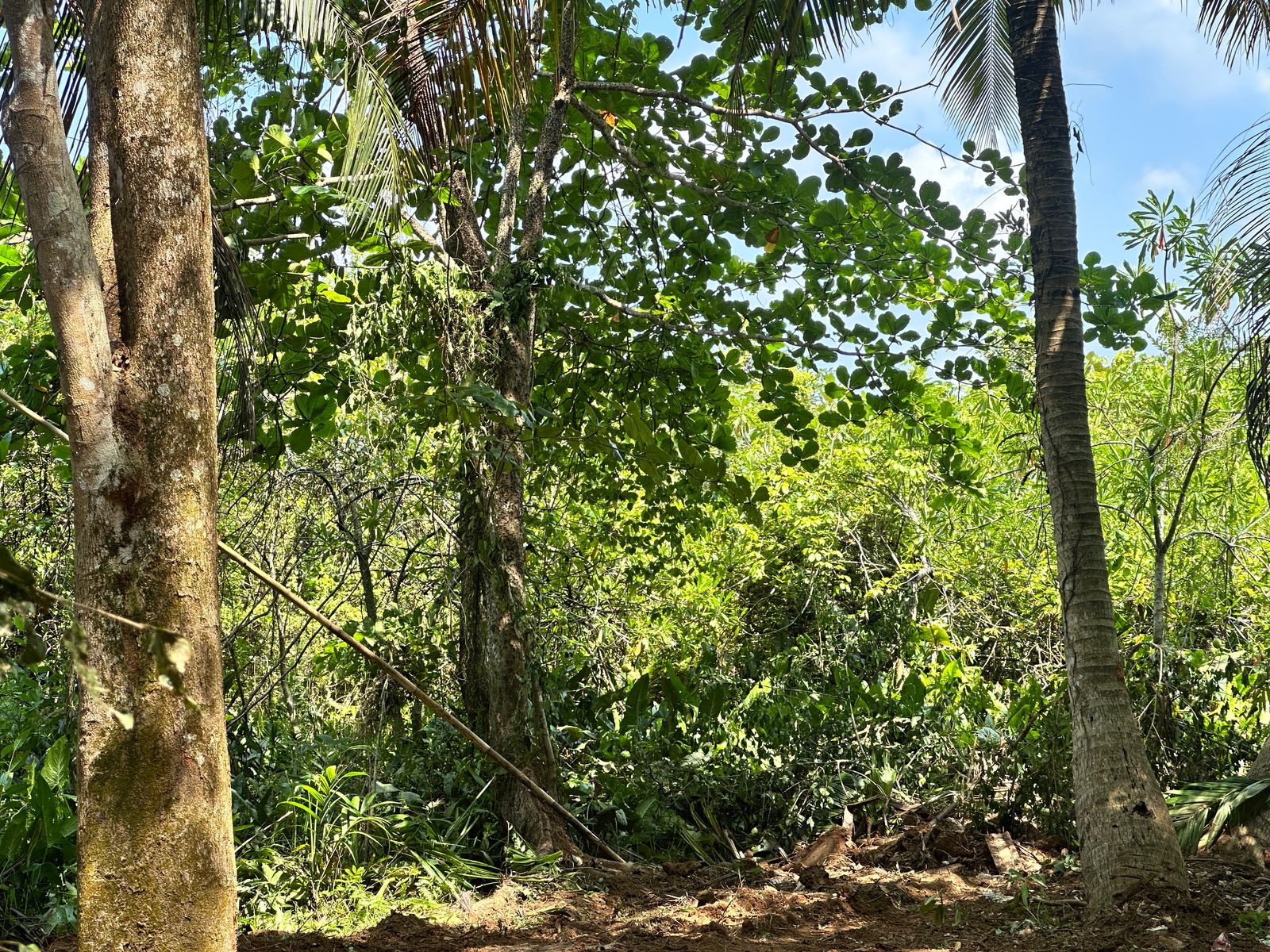 Land With House For Sale In Kalutara