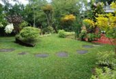 Land With House For Sale In Ambalangoda
