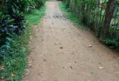 Land With House For Sale In Ambalangoda