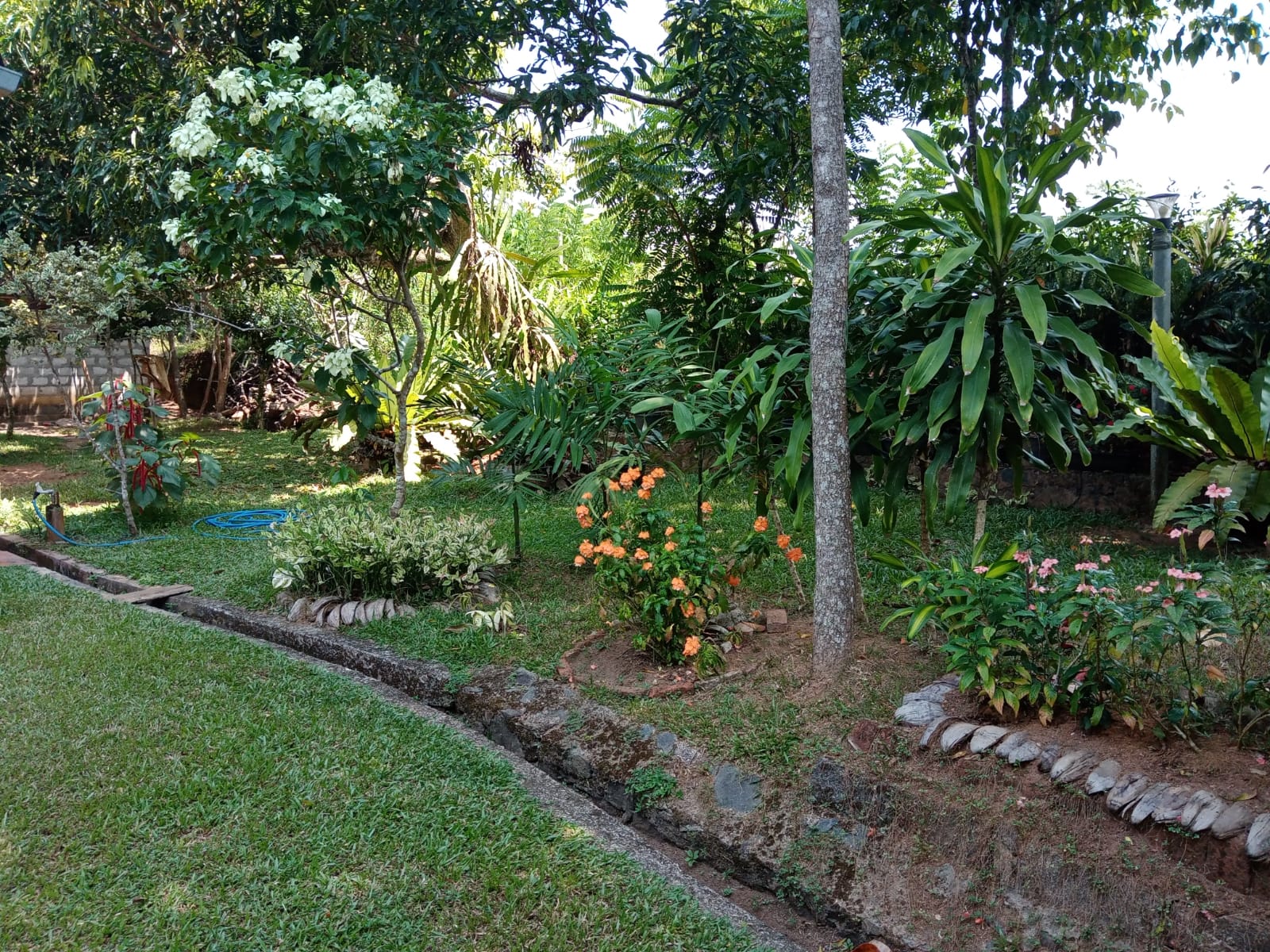 Land With House For Sale In Ambalangoda