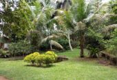 Land With House For Sale In Ambalangoda
