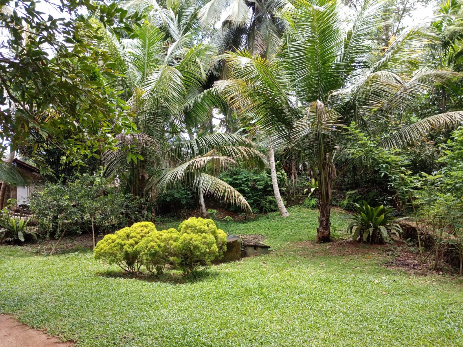 Land With House For Sale In Ambalangoda