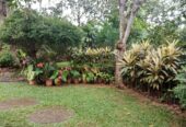 Land With House For Sale In Ambalangoda