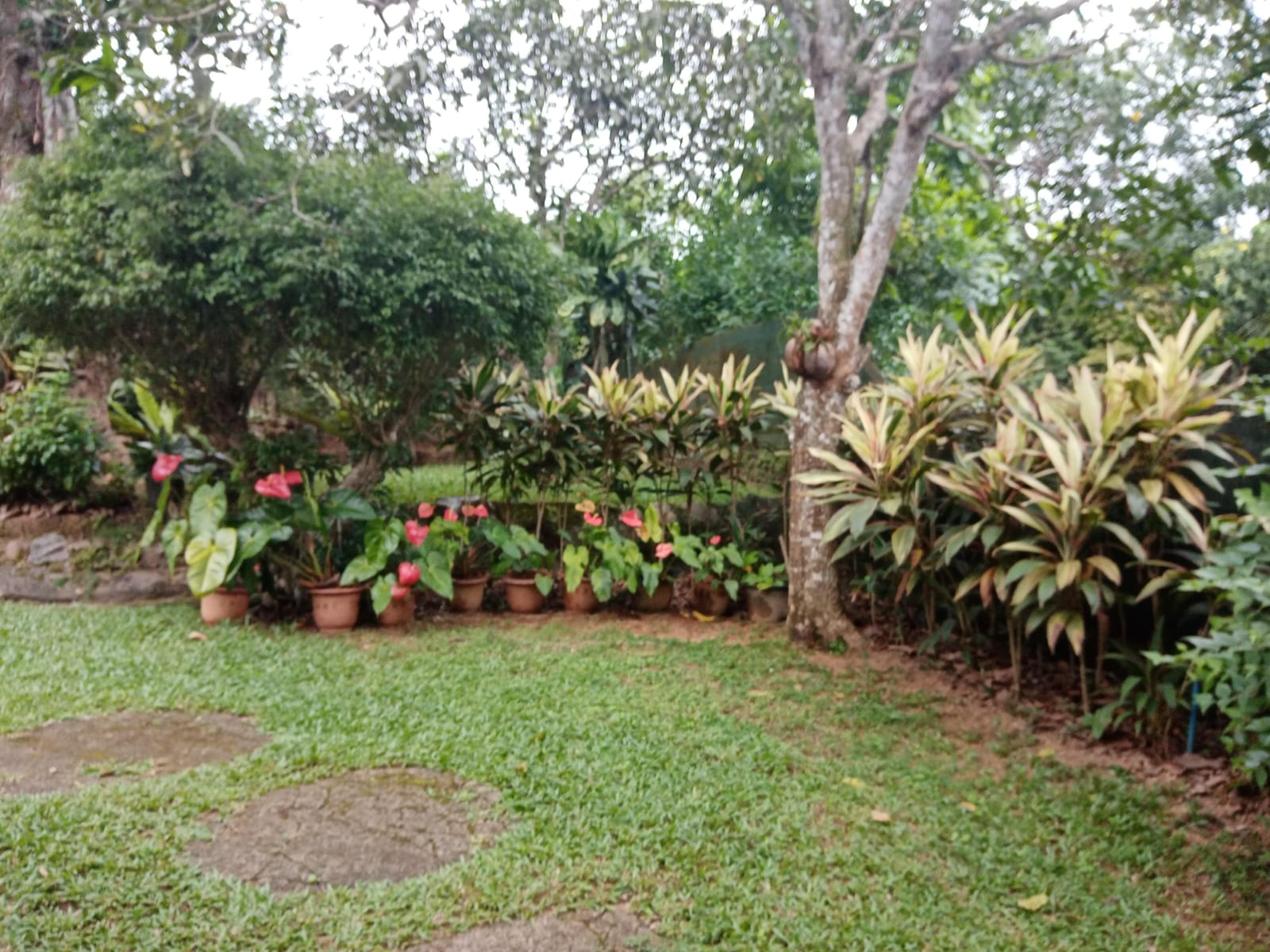 Land With House For Sale In Ambalangoda