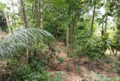 Land With House For Sale In Ambalangoda