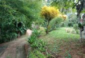 Land With House For Sale In Ambalangoda