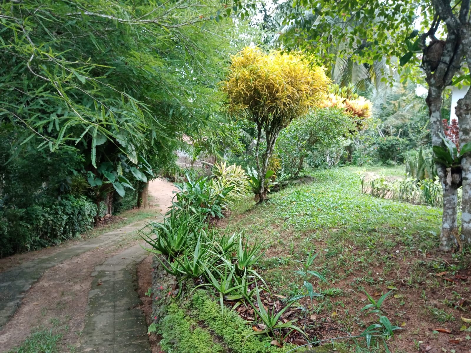 Land With House For Sale In Ambalangoda