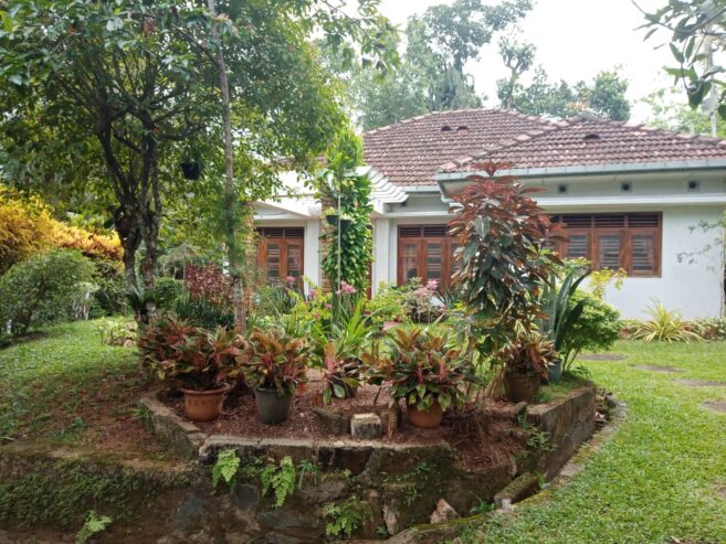 Land With House For Sale In Ambalangoda