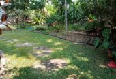 Land With House For Sale In Ambalangoda