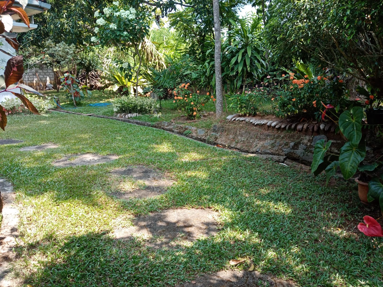 Land With House For Sale In Ambalangoda