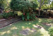 Land With House For Sale In Ambalangoda