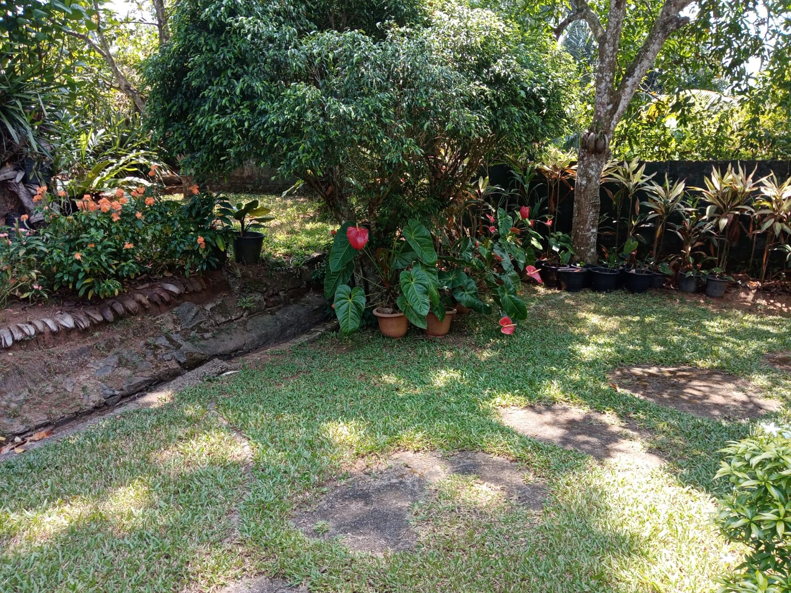 Land With House For Sale In Ambalangoda