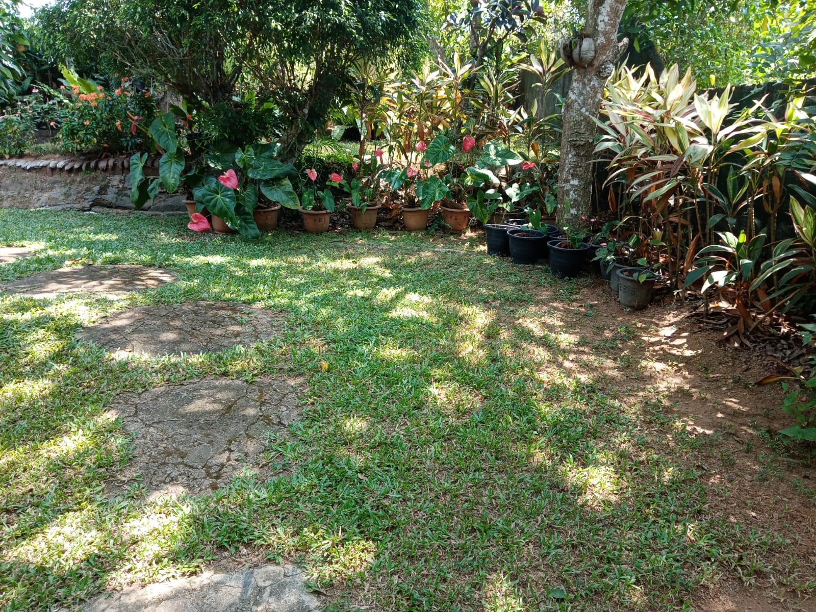 Land With House For Sale In Ambalangoda