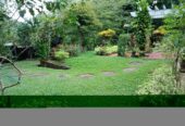 Land With House For Sale In Ambalangoda