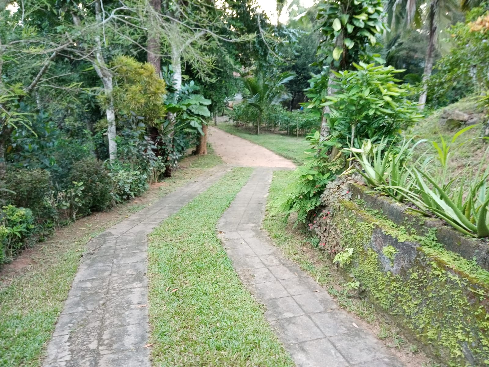 Land With House For Sale In Ambalangoda