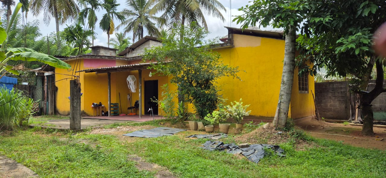 Land With House For Sale In Kubaloluwa Veyangoda