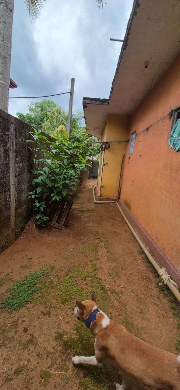 Land With House For Sale In Kubaloluwa Veyangoda