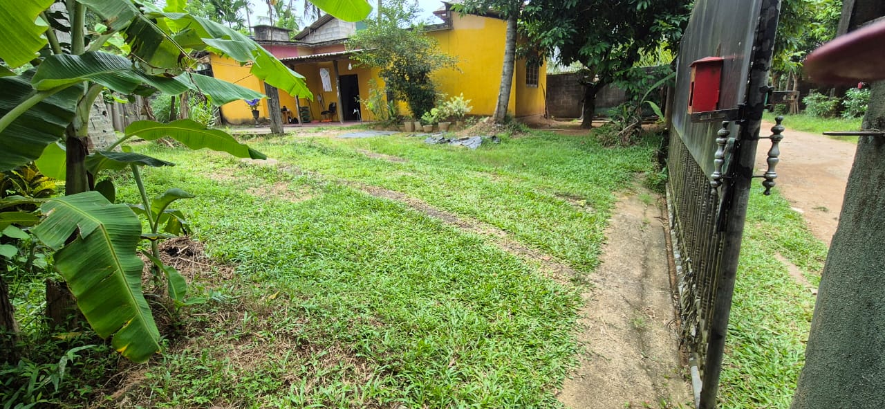 Land With House For Sale In Kubaloluwa Veyangoda