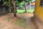 Land With House For Sale In Kubaloluwa Veyangoda