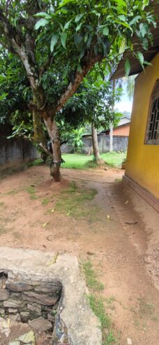 Land With House For Sale In Kubaloluwa Veyangoda