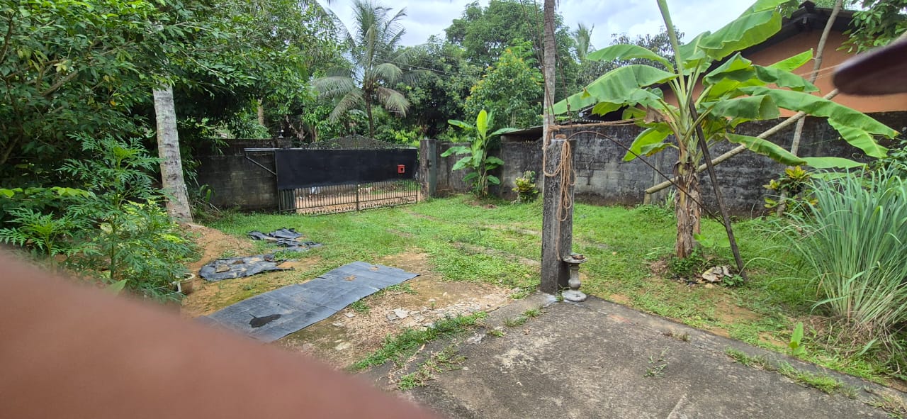 Land With House For Sale In Kubaloluwa Veyangoda