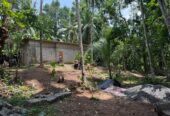 Half Build House with Land for Sale in Palahela