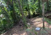 Half Build House with Land for Sale in Palahela