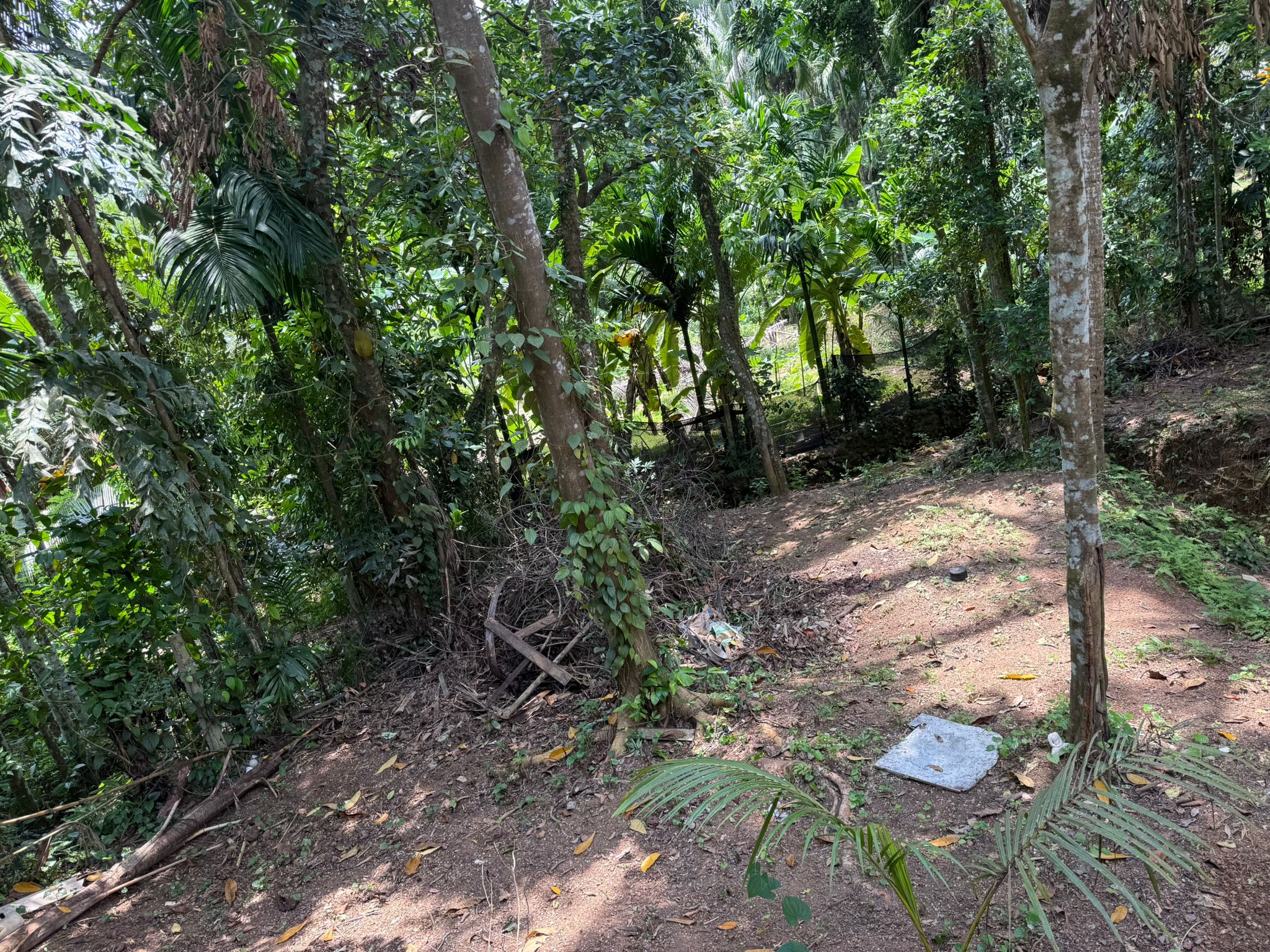 Half Build House with Land for Sale in Palahela