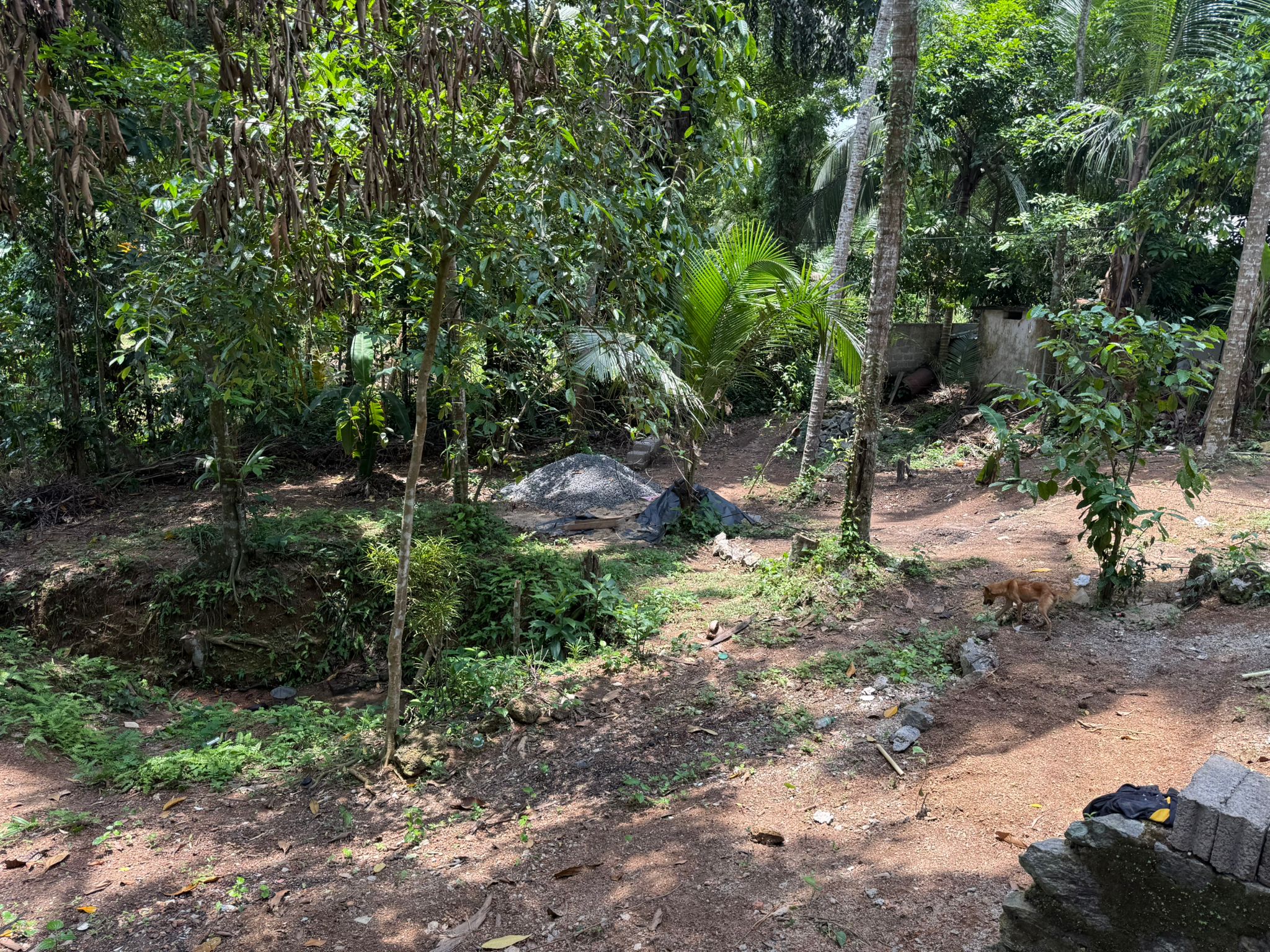 Half Build House with Land for Sale in Palahela