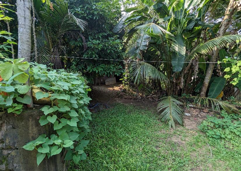 Warehouse with Land for Sale in Meegoda