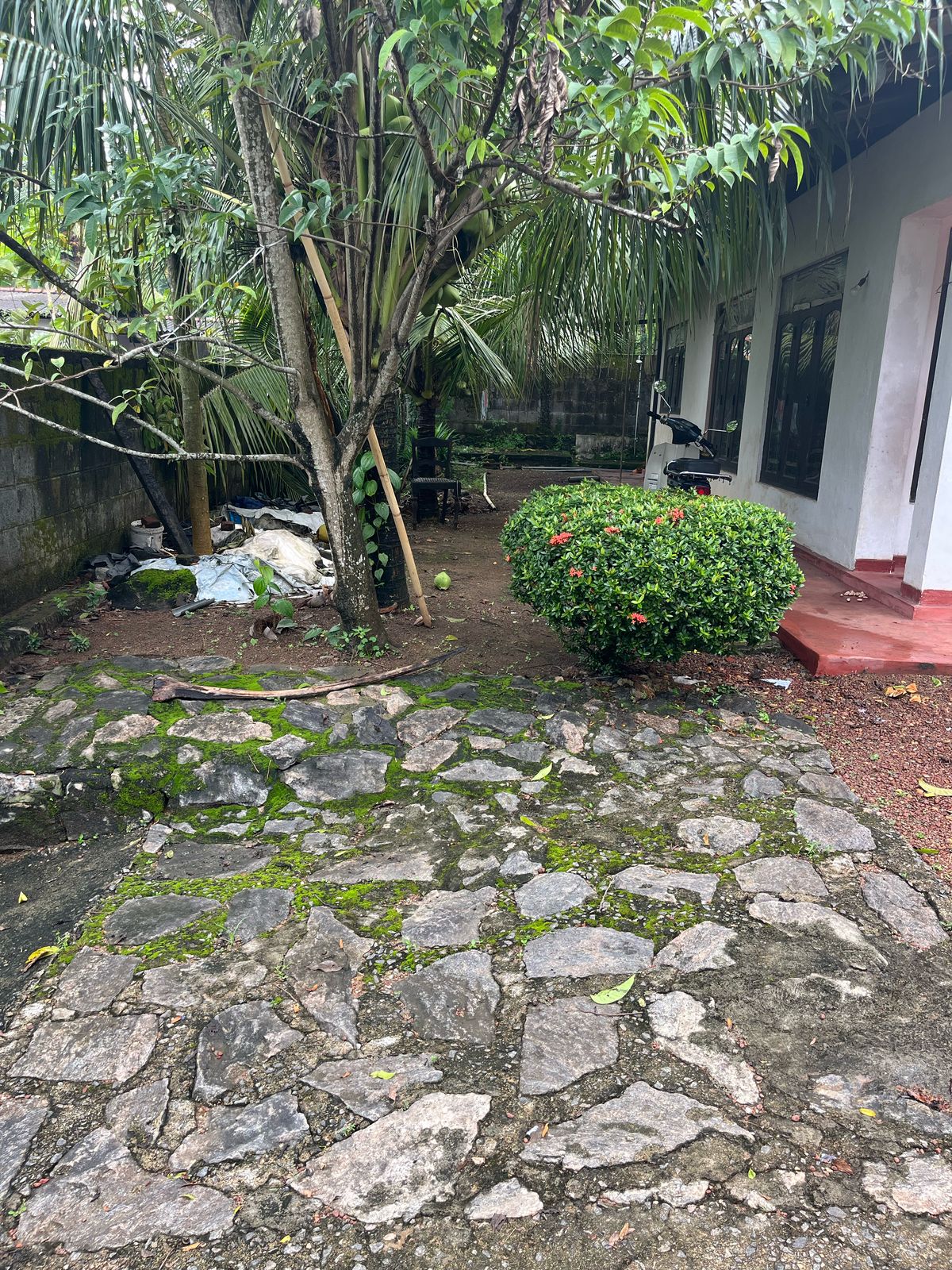 Houses Sale in Makola