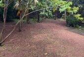 Houses Sale in Makola
