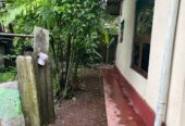 Houses Sale in Makola