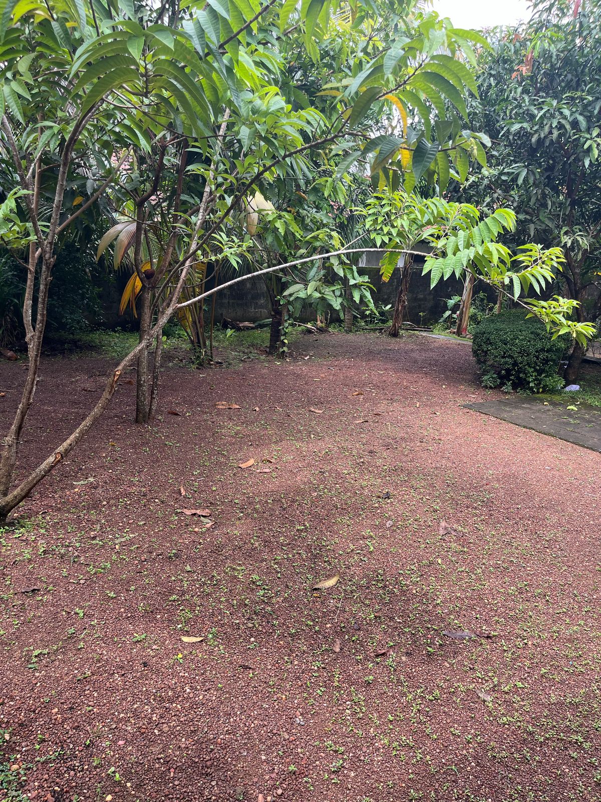 Houses Sale in Makola