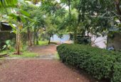 Houses Sale in Makola